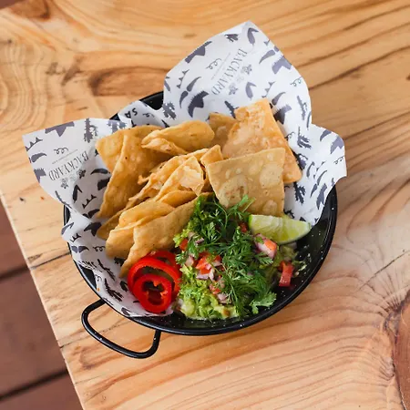 The Salty Surf & Yoga *