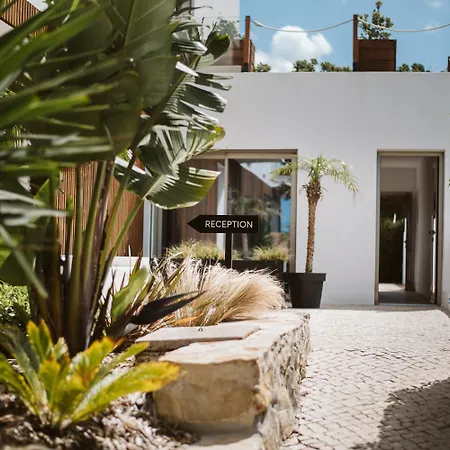 The Salty Surf & Yoga