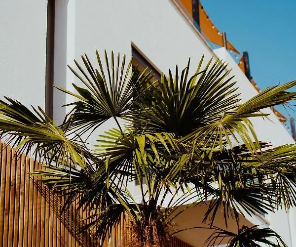 Hostel The Salty Surf & Yoga Ferrel (Leiria)